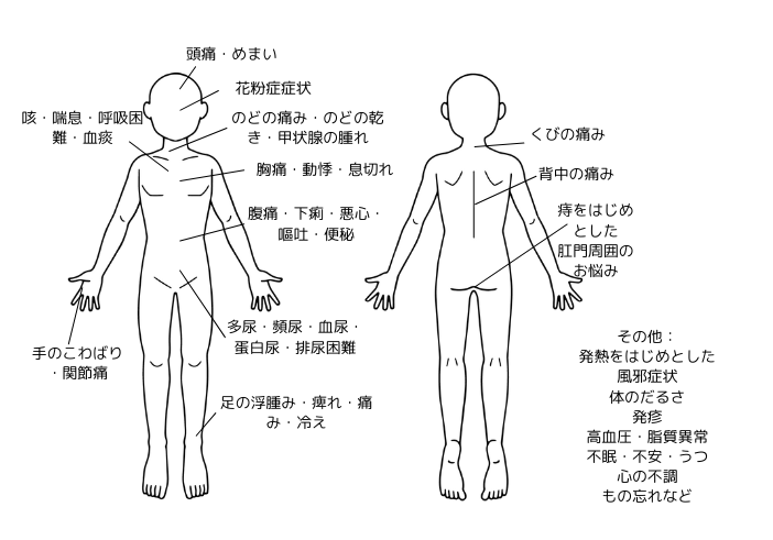 シェーマ図内科