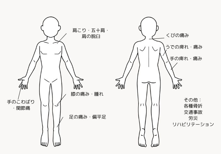 シェーマ図整形外科